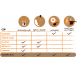 Kupilka 21 Set Box Tea Spoon