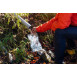 Evernew Water Carry